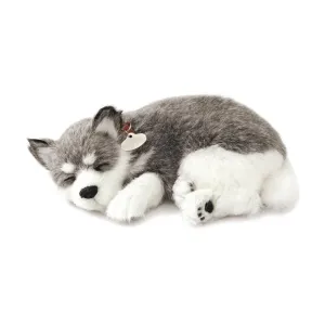 Alaskan Husky Soft Bundle