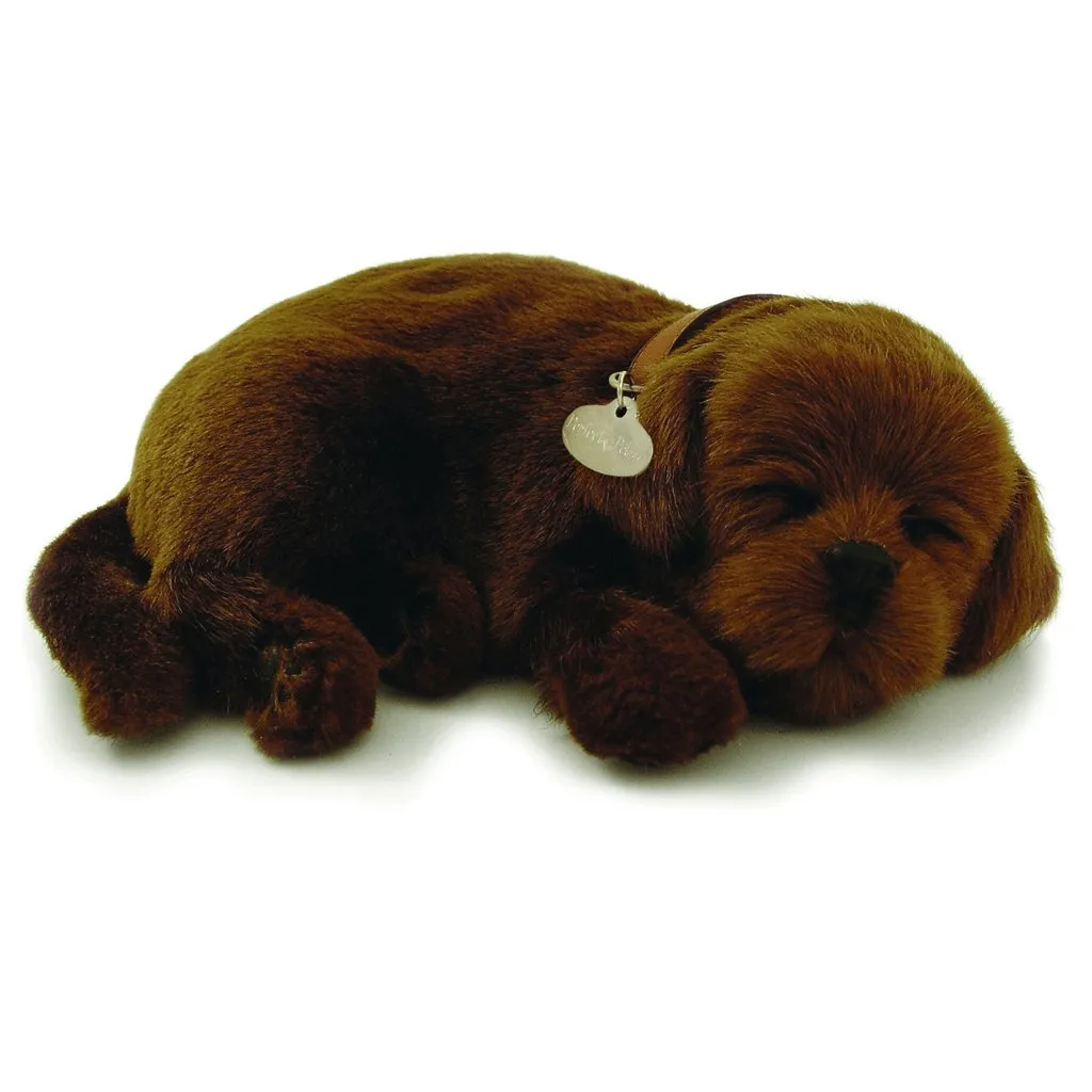 Chocolate Lab Soft Bundle