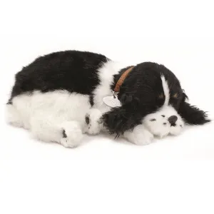 Cocker Spaniel Soft Bundle